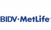BIDV Metlife Life Insurance LLC