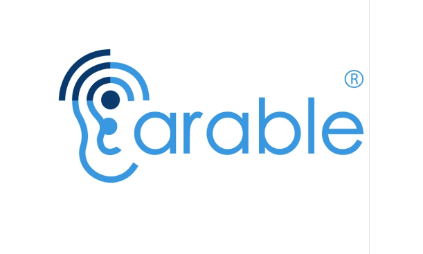 Công Ty TNHH Earable VIỆT NAM